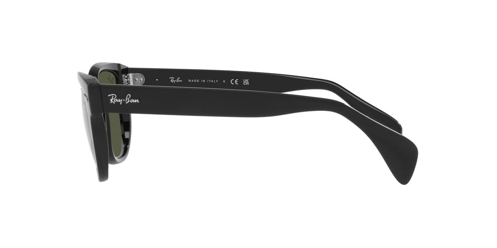 Ray-Ban 0880