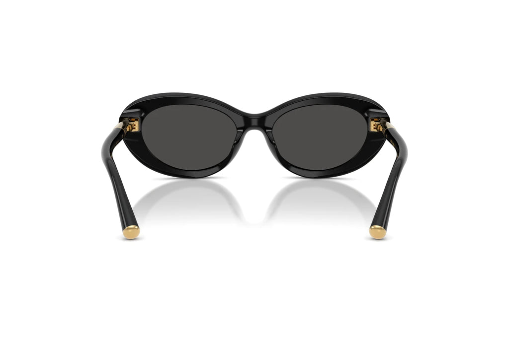 Dolce & Gabbana 4519